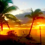 Fiji Paradise, Fiji, Koi Vacation Rentals, NBA, MLB, NFL, Keith Middlebrook, Housing, Houses, Rentals, KMX Real Estate Division, Island, Vacation